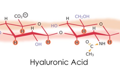 hyaluronicAcid